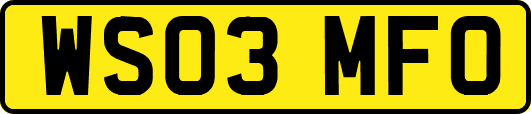 WS03MFO