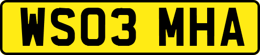 WS03MHA