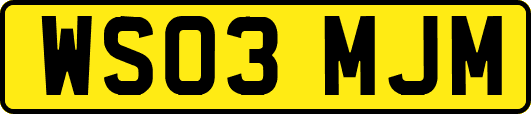 WS03MJM