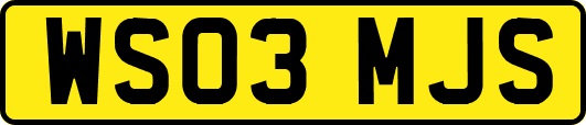 WS03MJS