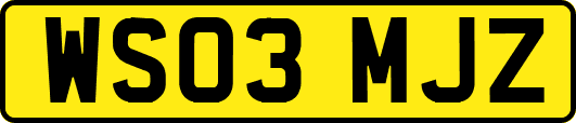 WS03MJZ