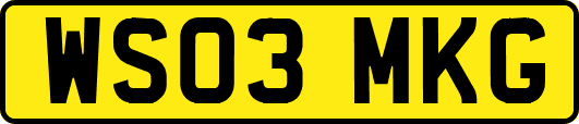 WS03MKG