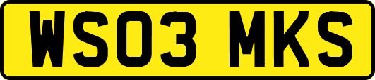 WS03MKS