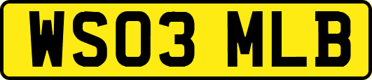 WS03MLB