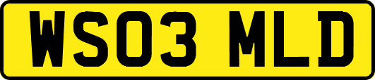WS03MLD