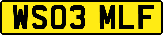 WS03MLF