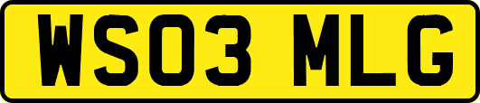 WS03MLG