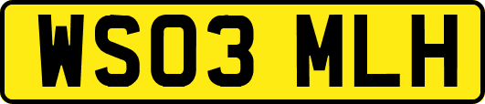 WS03MLH