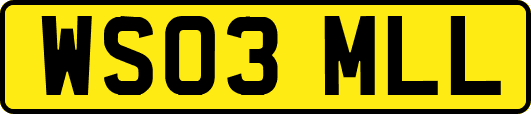 WS03MLL