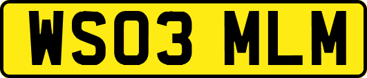 WS03MLM