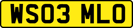 WS03MLO