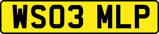 WS03MLP