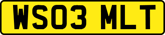WS03MLT