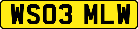WS03MLW