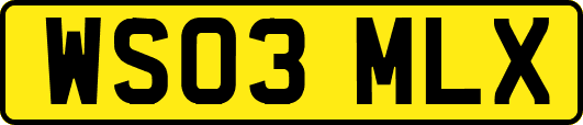WS03MLX