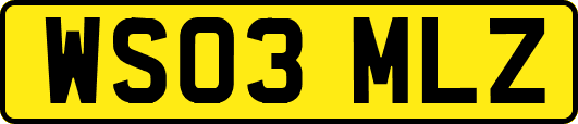 WS03MLZ