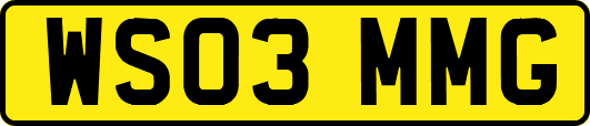 WS03MMG