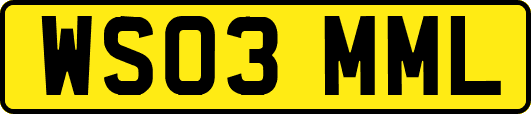 WS03MML