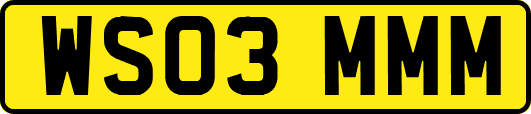 WS03MMM