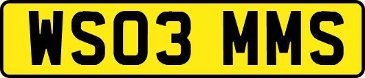 WS03MMS