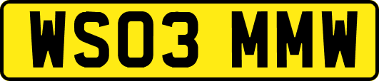 WS03MMW