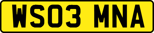 WS03MNA