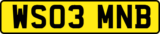 WS03MNB