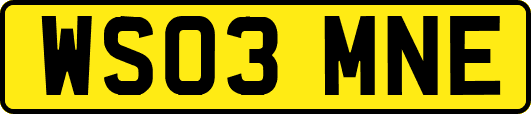 WS03MNE