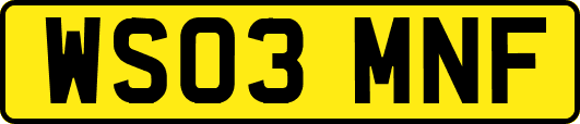 WS03MNF