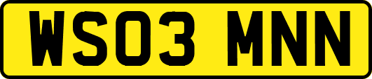 WS03MNN