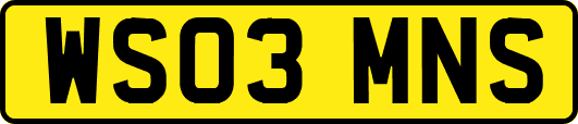 WS03MNS