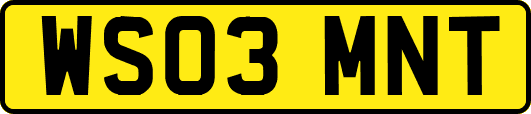 WS03MNT