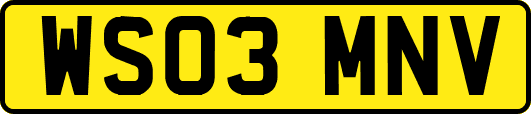 WS03MNV