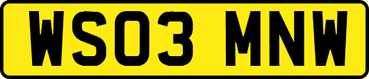 WS03MNW