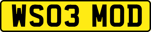 WS03MOD