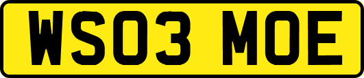 WS03MOE