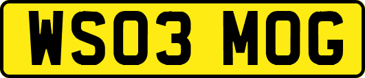 WS03MOG
