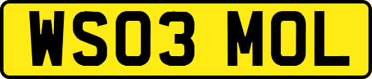 WS03MOL