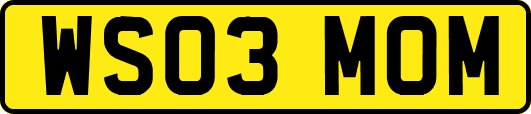 WS03MOM