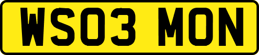 WS03MON
