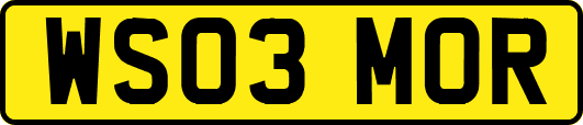 WS03MOR