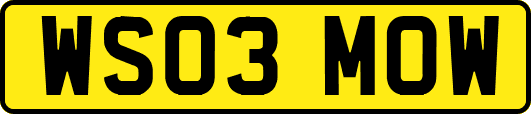 WS03MOW