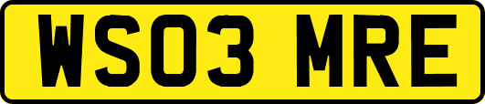 WS03MRE