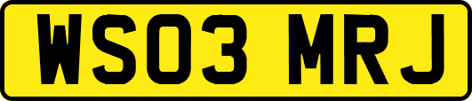 WS03MRJ