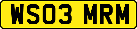 WS03MRM
