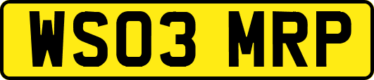 WS03MRP