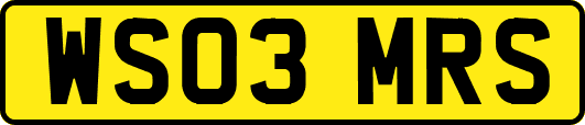 WS03MRS