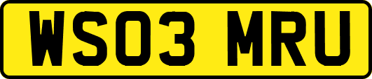 WS03MRU