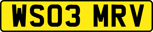 WS03MRV