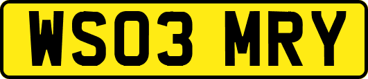 WS03MRY
